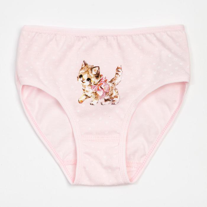 Трусы для девочки, цвет розовый/рис. котёнок, рост 116-122
Трусы для девочки, цвет розовый/рис. котёнок, рост 116-122