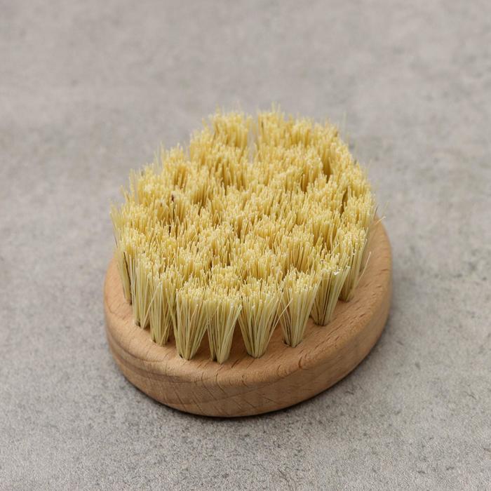 Щётка хозяйственная, 7×6×1,6 см, бук, 42 пучка, натуральное волокно тампико
Щётка хозяйственная, 7×6×1,6 см, бук, 42 пучка, натуральное волокно тампико