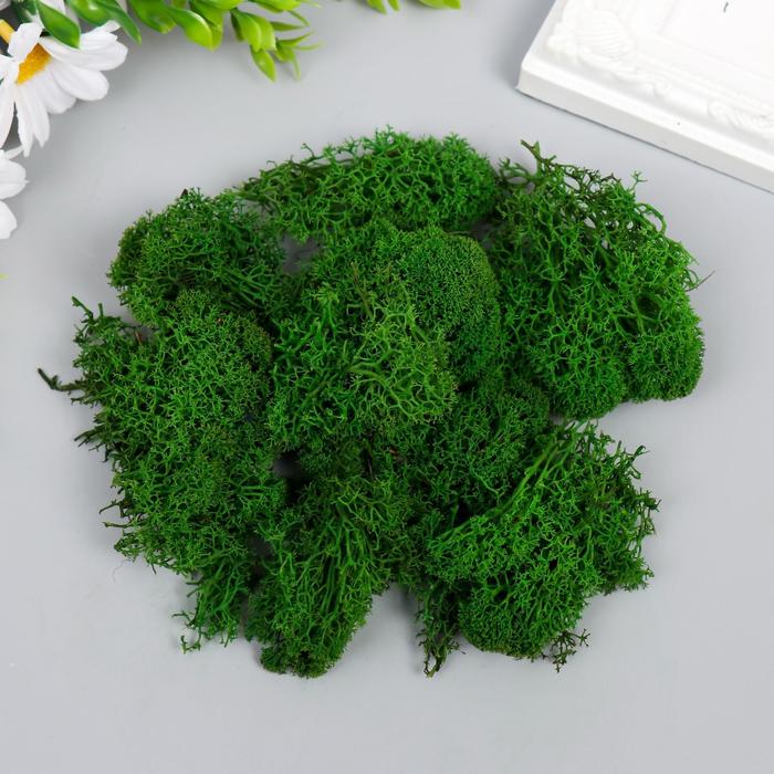 Мох стабилизированный "Авокадо" 45 гр (+-5 гр)
Мох стабилизированный "Авокадо" 45 гр (+-5 гр)