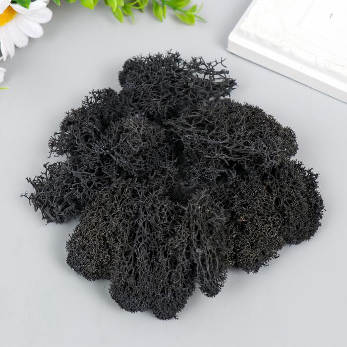 Мох стабилизированный "Пепельный" 45 гр (+-5 гр)
Мох стабилизированный "Пепельный" 45 гр (+-5 гр)