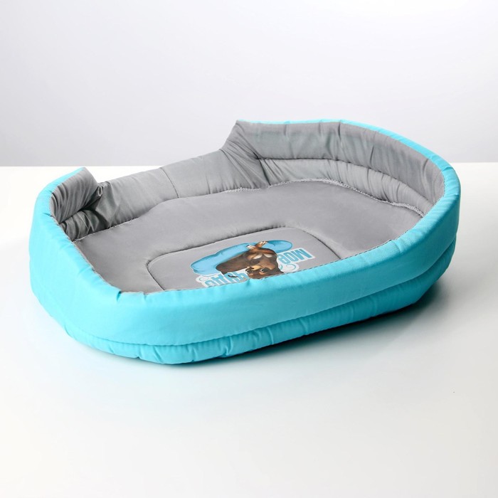 Лежанка овальная «Моё чудо», 43х32х9.5 см 
Лежанка овальная «Моё чудо», 43х32х9.5 см