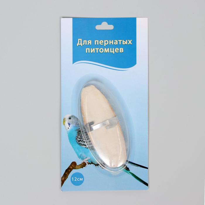 Панцирь каракатицы с креплением для птиц, 12 см
Панцирь каракатицы с креплением для птиц, 12 см