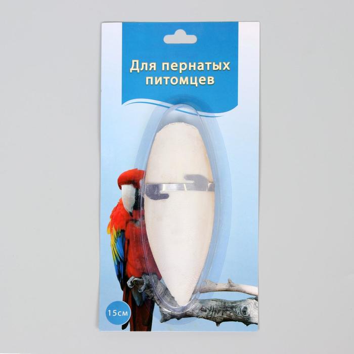 Панцирь каракатицы с креплением для птиц, 15 см
Панцирь каракатицы с креплением для птиц, 15 см