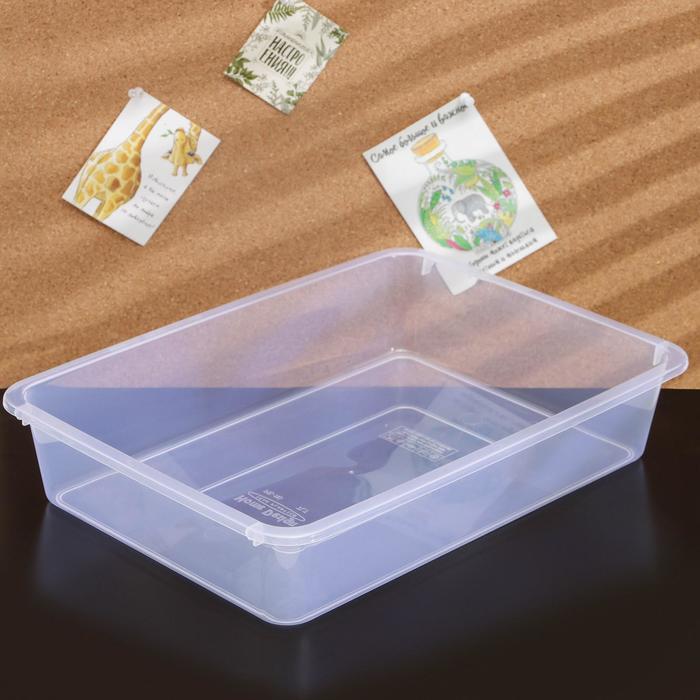 Ёмкость для хранения, 46×34×9 см
Ёмкость для хранения, 46×34×9 см