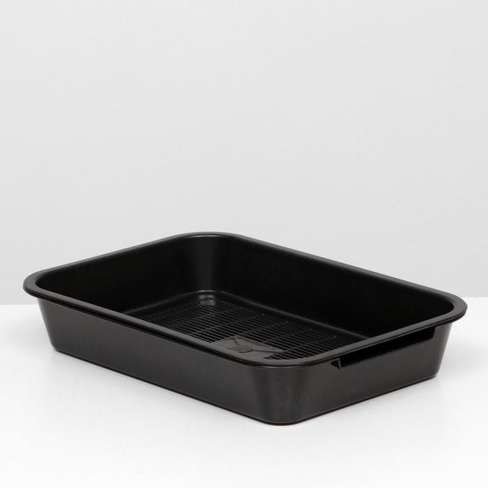 Лоток с сеткой №3, 36 х 26 х 6,5 см, чёрный
Лоток с сеткой №3, 36 х 26 х 6,5 см, чёрный