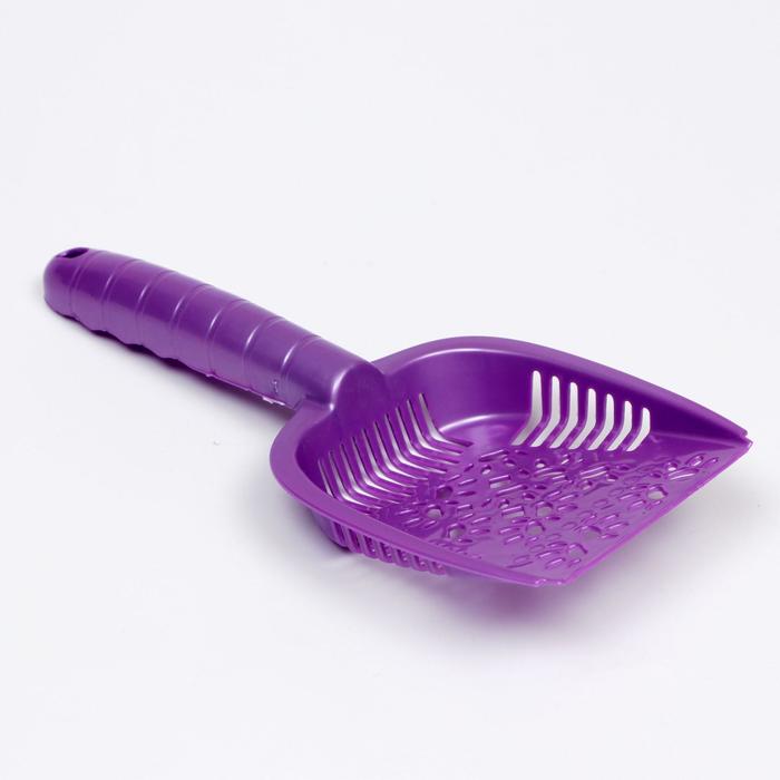 Совок для кошачьего туалета, 250 Х 108 Х 35 мм, фиолетовый перламутр
Совок для кошачьего туалета, 250 Х 108 Х 35 мм, фиолетовый перламутр