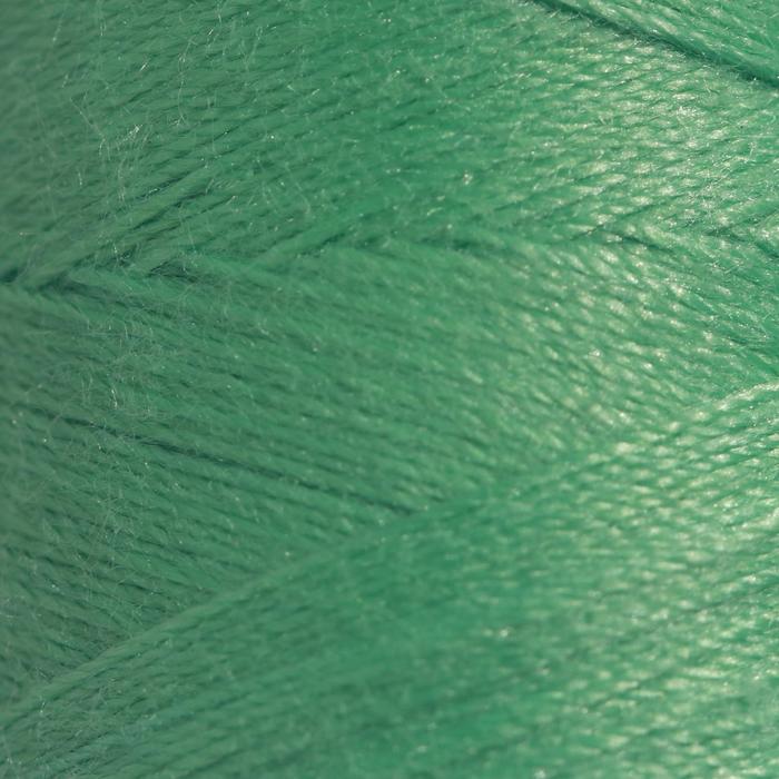 Нитки 40ЛШ, 200 м, цвет васаби №3106
Нитки 40ЛШ, 200 м, цвет васаби №3106