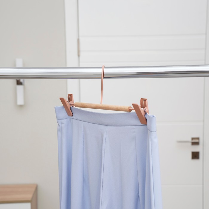 Вешалка для брюк и юбок SAVANNA Wood, 28×13×2,8 см, цвет розовый
Вешалка для брюк и юбок SAVANNA Wood, 28×13×2,8 см, цвет розовый