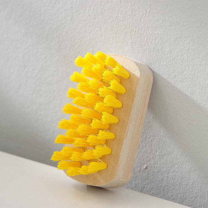 Щётка хозяйственная малая, 8,6×4,2 см, берёза, синтетическая щетина
Щётка хозяйственная малая, 8,6×4,2 см, берёза, синтетическая щетина