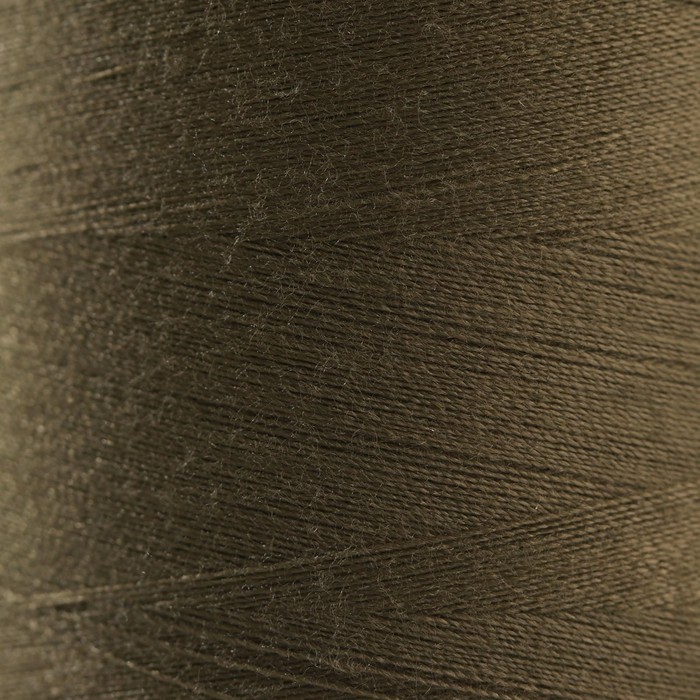 Нитки 50/2, 5000 м, цвет болотный №5704
Нитки 50/2, 5000 м, цвет болотный №5704