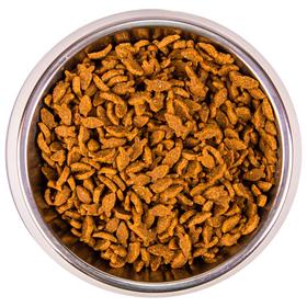 Cухой корм Monge Cat Speciality Line Monoprotein Adult для кошек, из лосося, 10 кг
Cухой корм Monge Cat Speciality Line Monoprotein Adult для кошек, из лосося, 10 кг