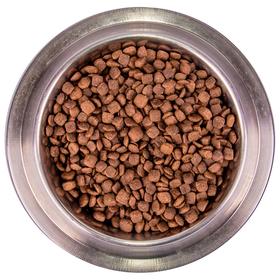Влажный корм Monge Dog BWild GRAIN FREE Puppy Junior для щенков, утка/тыква/кабачки, 400 г
Влажный корм Monge Dog BWild GRAIN FREE Puppy Junior для щенков, утка/тыква/кабачки, 400 г