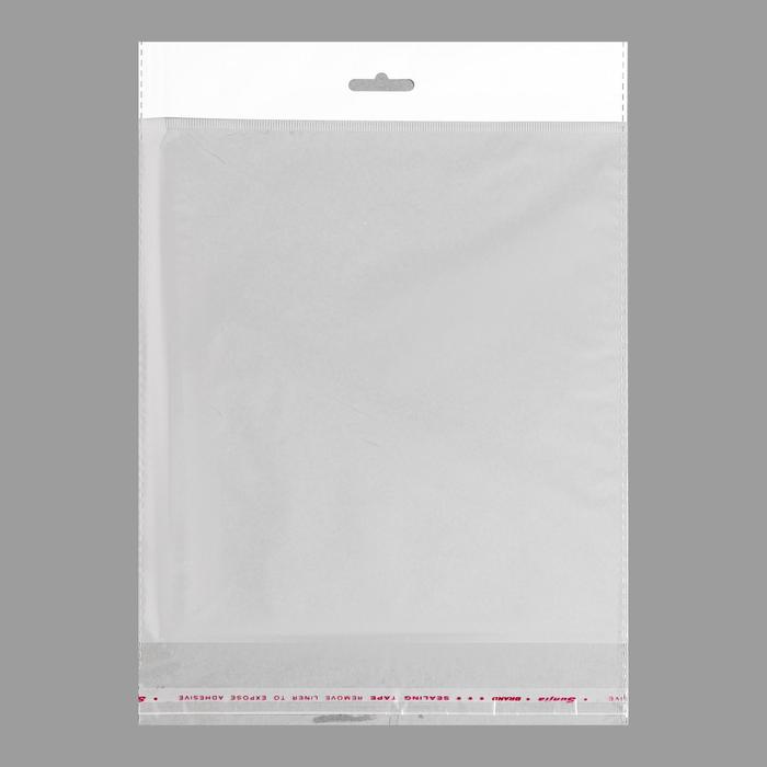 Пакет БОПП с клеевым клапаном, прозрачный 18 х 18/4 cм, еврослот, 25 мкм
Пакет БОПП с клеевым клапаном, прозрачный 18 х 18/4 cм, еврослот, 25 мкм