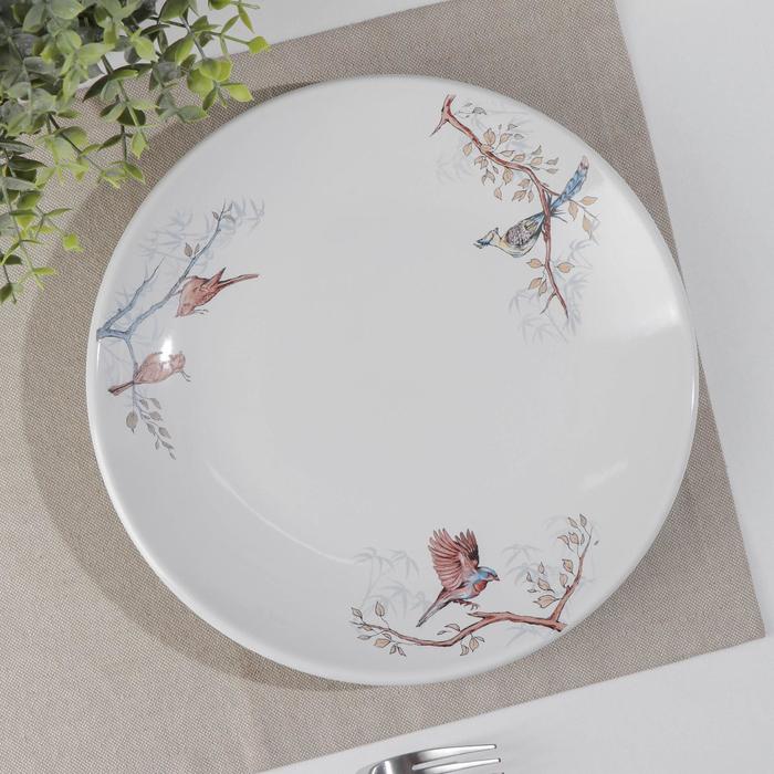 Тарелка «Птицы», d=26 см, МИКС
Тарелка «Птицы», d=26 см, МИКС