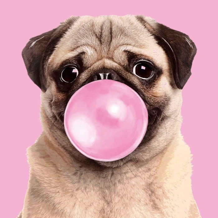 Алмазная мозаика с частичным заполнением «Мопс» 20х20 см, на подрамнике
Алмазная мозаика с частичным заполнением «Мопс» 20х20 см, на подрамнике