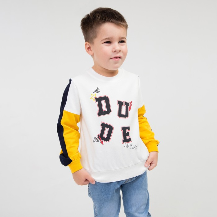 Свитшот для мальчика, цвет экрю, рост 104 см
Свитшот для мальчика, цвет экрю, рост 104 см