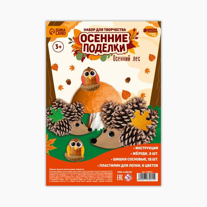 Набор для творчества. Осенние поделки «Осенний лес»
Набор для творчества. Осенние поделки «Осенний лес»