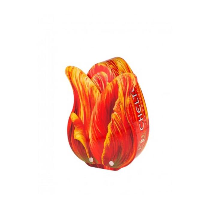 Чай черный крупнолистовой OPA CHELTON "Тюльпан" с двумя лепестками, 100 г
Чай черный крупнолистовой OPA CHELTON "Тюльпан" с двумя лепестками, 100 г