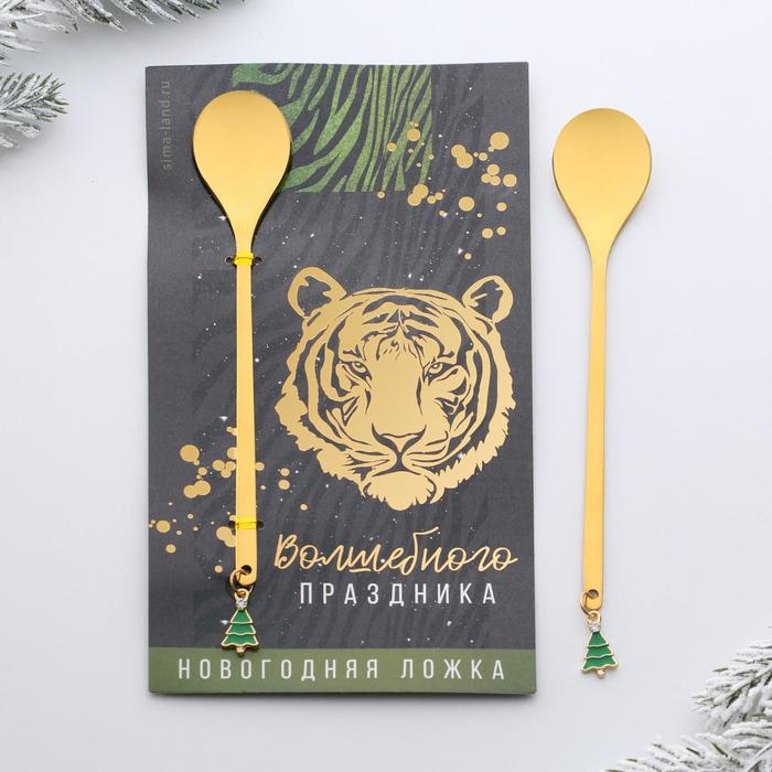 Ложка с подвесом "Волшебного праздника", 2,7 х 14, 8 см
Ложка с подвесом "Волшебного праздника", 2,7 х 14, 8 см
