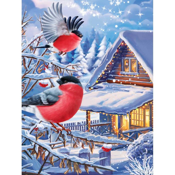 Алмазная мозаика с частичным заполнением на раме «Снегири и рябина» 30х40 см
Алмазная мозаика с частичным заполнением на раме «Снегири и рябина» 30х40 см