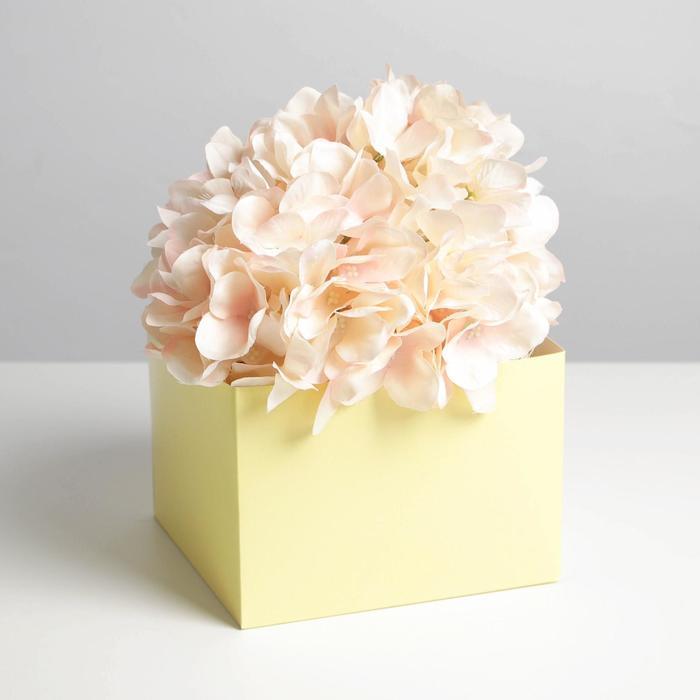 Коробка для цветов с PVC крышкой, жёлтая 17 х 17 х 12 см
Коробка для цветов с PVC крышкой, жёлтая 17 х 17 х 12 см