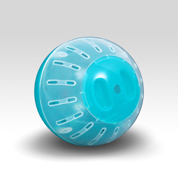Шар для грызунов, 10 см, бирюзовый/прозрачный (цветная крышка) 
Шар для грызунов, 10 см, бирюзовый/прозрачный (цветная крышка)