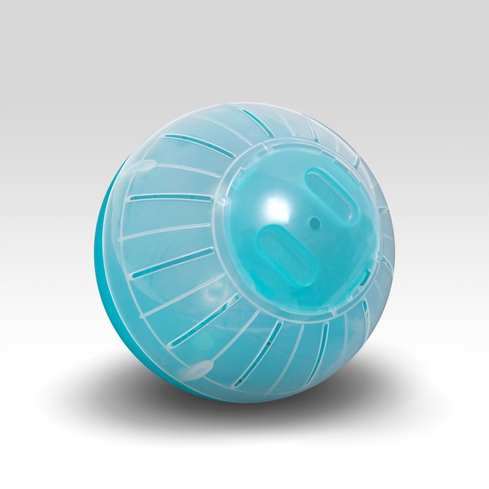 Шар для грызунов, 12 см, бирюзовый/прозрачный (цветная крышка)
Шар для грызунов, 12 см, бирюзовый/прозрачный (цветная крышка)