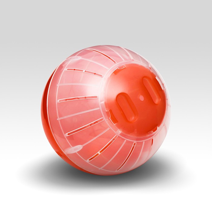 Шар для грызунов, 12 см, красный/прозрачный (цветная крышка)
Шар для грызунов, 12 см, красный/прозрачный (цветная крышка)