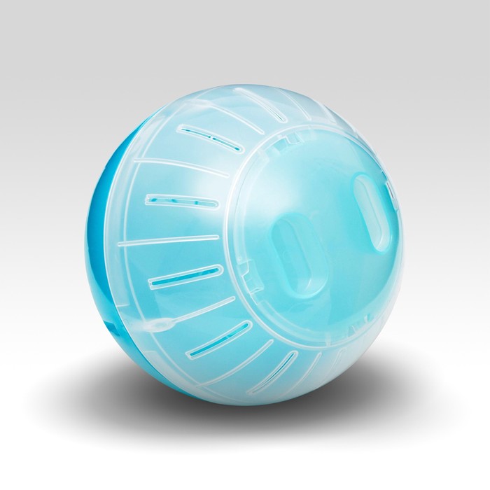 Шар для грызунов, 14 см, бирюзовый/прозрачный (цветная крышка)
Шар для грызунов, 14 см, бирюзовый/прозрачный (цветная крышка)