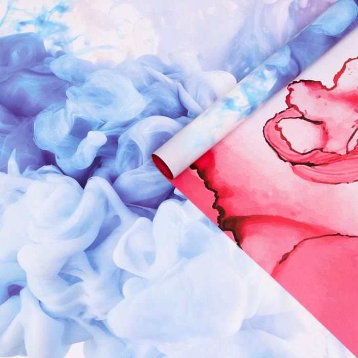 Бумага упаковочная глянцевая красно-голубая, двухсторонняя, 0,5 х 0,7 м
Бумага упаковочная глянцевая красно-голубая, двухсторонняя, 0,5 х 0,7 м