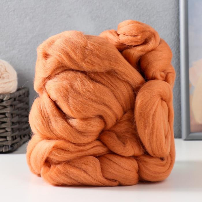 Гребенная лента 100% тонкая мериносовая шерсть 100гр (30 светлый терракот)
Гребенная лента 100% тонкая мериносовая шерсть 100гр (30 светлый терракот)