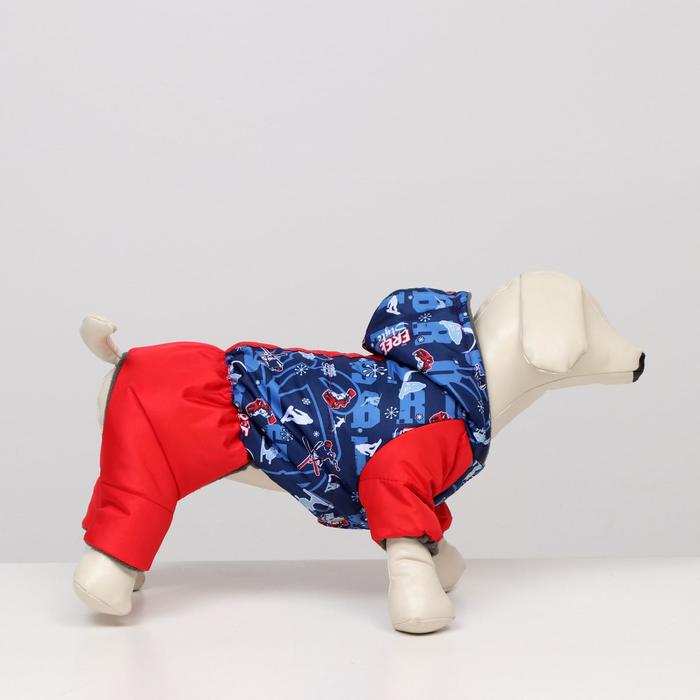 Комбинезон зимний для животных "Лыжник", 2XL (ДС 34-36, ОШ 34-36, ОГ 44-48 см), микс
Комбинезон зимний для животных "Лыжник", 2XL (ДС 34-36, ОШ 34-36, ОГ 44-48 см), микс