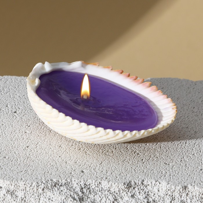 Свеча в ракушке "Time to dream",фиолетовая
Свеча в ракушке "Time to dream",фиолетовая