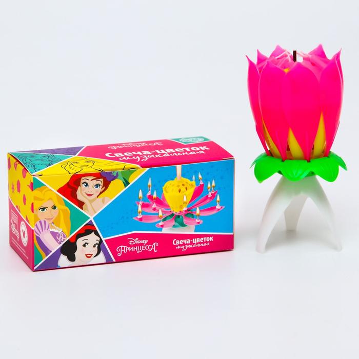 Свеча для торта музыкальная "Тюльпан", розовая, 12×5 см, Принцессы
Свеча для торта музыкальная "Тюльпан", розовая, 12×5 см, Принцессы