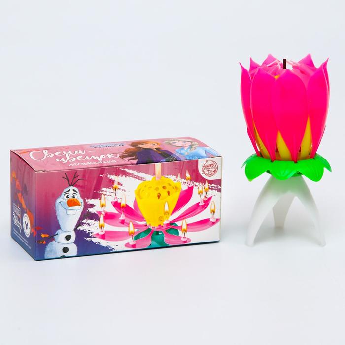 Свеча для торта музыкальная "Тюльпан", розовая, 12×5 см, Холодное сердце
Свеча для торта музыкальная "Тюльпан", розовая, 12×5 см, Холодное сердце