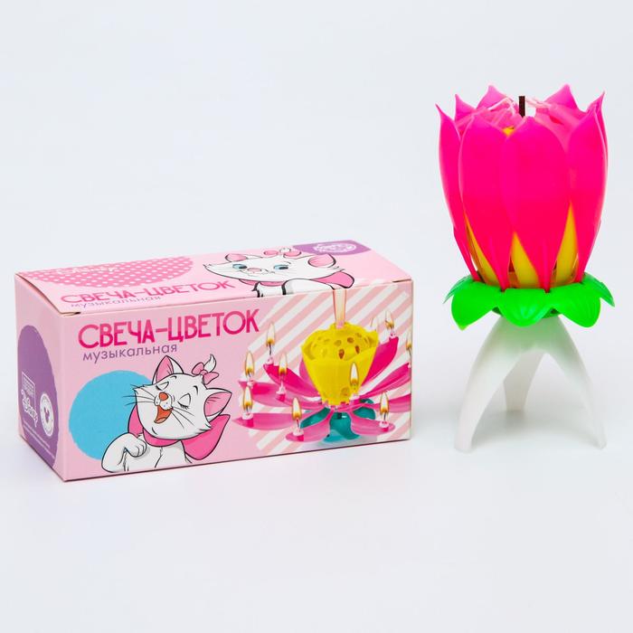 Свеча для торта музыкальная "Тюльпан", розовая, 12×5 см, Кошечка Мари
Свеча для торта музыкальная "Тюльпан", розовая, 12×5 см, Кошечка Мари