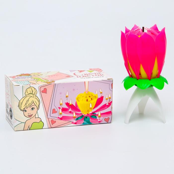 Свеча для торта музыкальная "Тюльпан", розовая, 12×5 см, Фея
Свеча для торта музыкальная "Тюльпан", розовая, 12×5 см, Фея