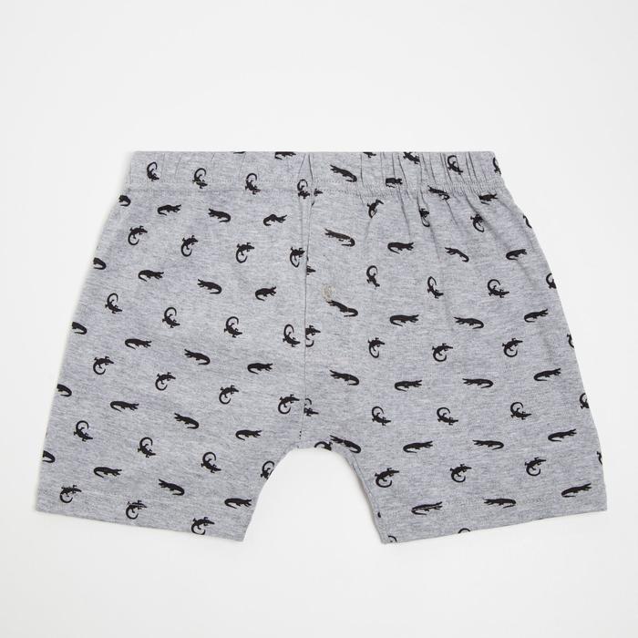 Трусы мужские свободные, цвет серый, р-р 48
Трусы мужские свободные, цвет серый, р-р 48