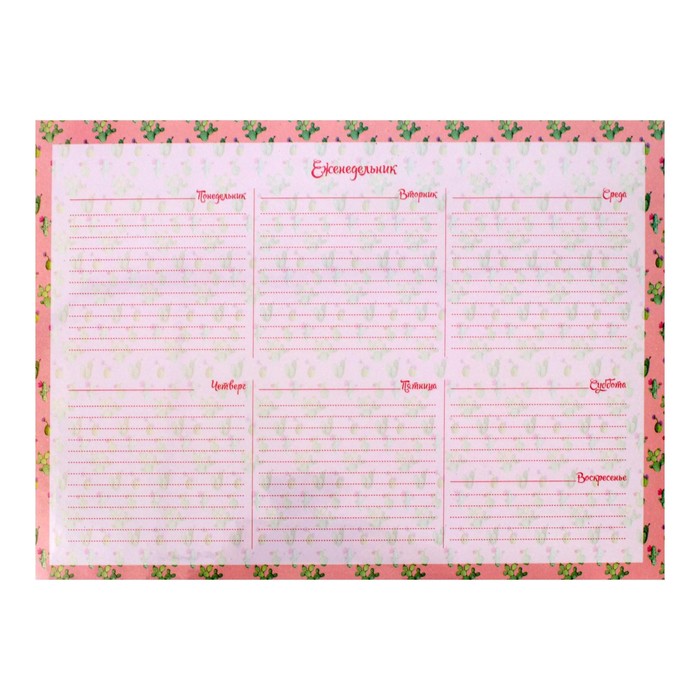 Планинг, недатированный, А4, 55 листов, "Цветущие кактусы", жёсткая подложка, блок 80 г/м²
Планинг, недатированный, А4, 55 листов, "Цветущие кактусы", жёсткая подложка, блок 80 г/м²