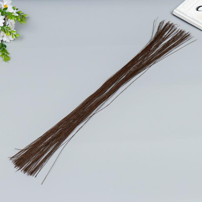 Проволока для творчества "Астра"d 0,4 мм, 60 см, 100шт, коричневый
Проволока для творчества "Астра"d 0,4 мм, 60 см, 100шт, коричневый