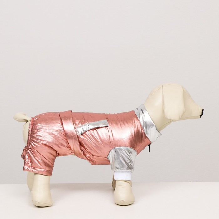 Комбинезон "Блеск", размер 18 (ДС 40 см, ОГ 50 см, ОШ 38 см), серебряно-розовый
Комбинезон "Блеск", размер 18 (ДС 40 см, ОГ 50 см, ОШ 38 см), серебряно-розовый