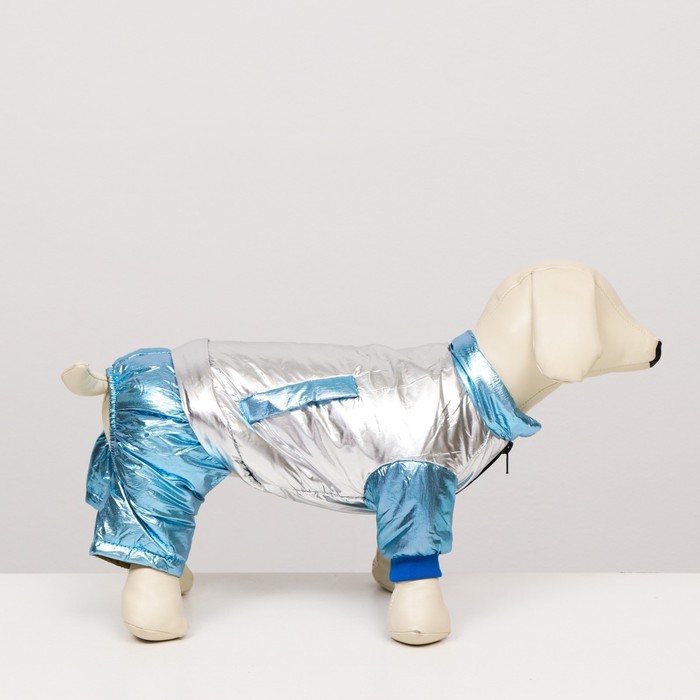 Комбинезон "Блеск", размер 8 (ДС 23 см, ОГ 30, ОГ 22 см), серебряно-голубой
Комбинезон "Блеск", размер 8 (ДС 23 см, ОГ 30, ОГ 22 см), серебряно-голубой