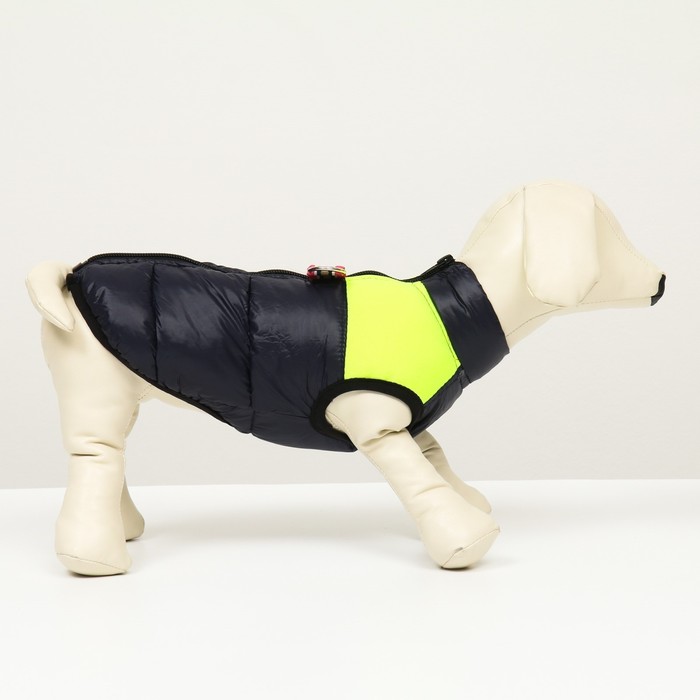 фото Куртка для собак на молнии, размер 8 (дс 23 см, ог 30, ош 22 см), синяя с жёлтым