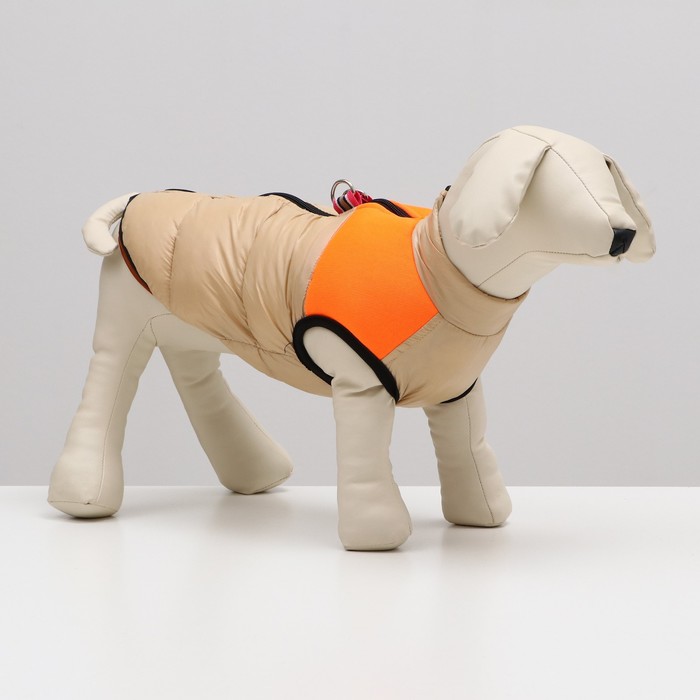 фото Куртка для собак на молнии, размер 16 (дс 36 см, ог 46 см, ош 35 см), бежевая с оранжевым
