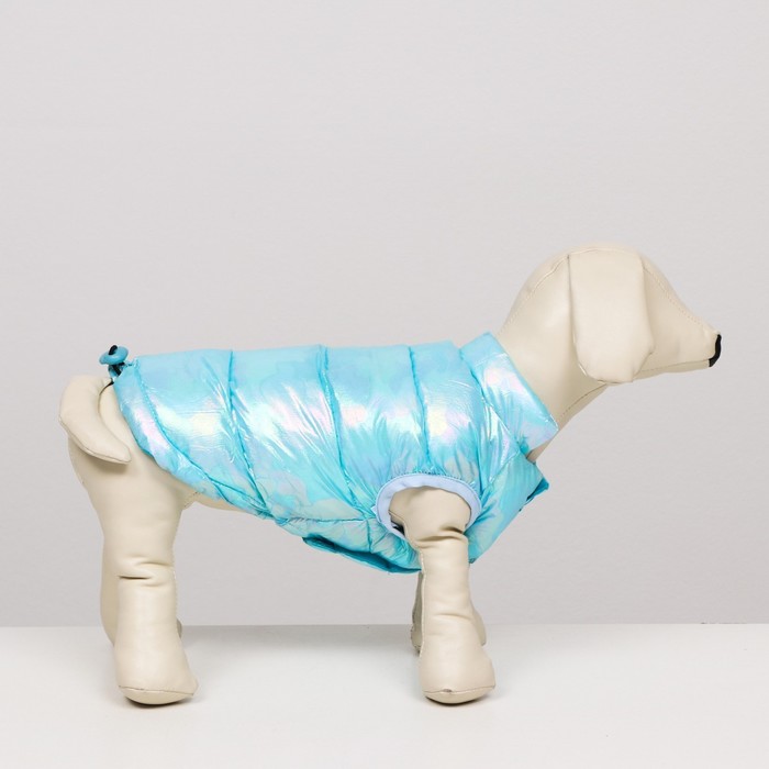 фото Куртка для собак двухсторонняя с утяжкой, размер 8 (дс 23 см, ог 30, ош22 см), голубая