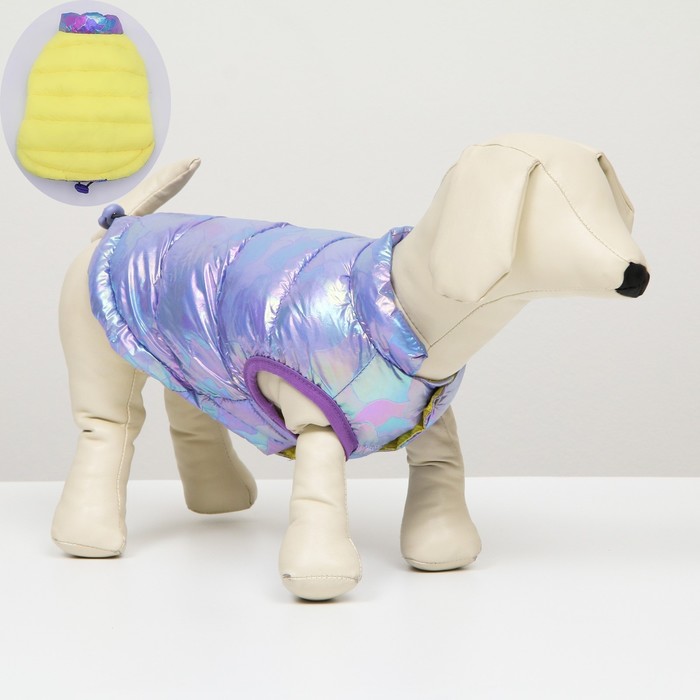 Куртка для собак двухсторонняя с утяжкой, размер 8 (ДС 23,ОГ 30,ОШ 22),фиолетовая/жёлтая
Куртка для собак двухсторонняя с утяжкой, размер 8 (ДС 23,ОГ 30,ОШ 22),фиолетовая/жёлтая