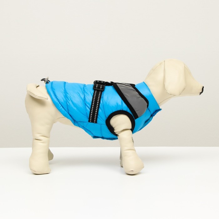фото Куртка для собак со светоотражающей шлейкой, размер 10 (дс 25, ог 34, ош 24), голубая