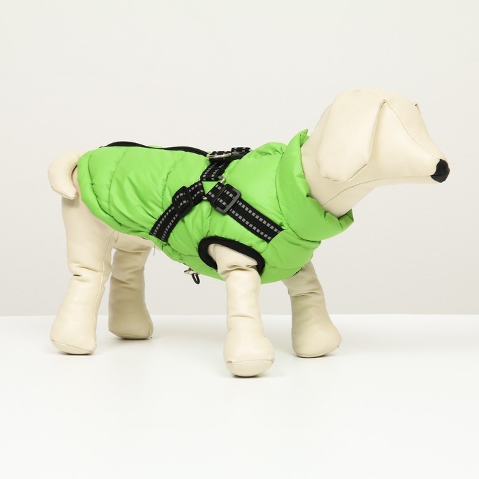 фото Куртка для собак со шлейкой, размер 12 (дс 28 см, ог 38 см, ош 27 см), салатовая