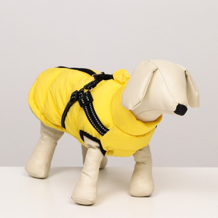 Куртка для собак со шлейкой, размер 12 (ДС 28 см, ОГ 38 см, ОШ 27 см), лимонная
Куртка для собак со шлейкой, размер 12 (ДС 28 см, ОГ 38 см, ОШ 27 см), лимонная