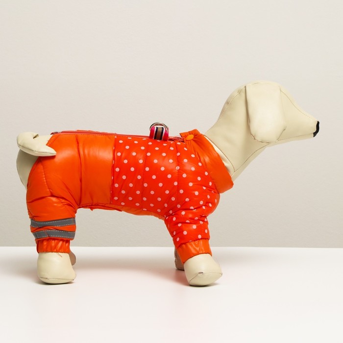 фото Комбинезон для собак "горошек", размер 22 (дс 48, ог 54, ош 38 см), рыжий